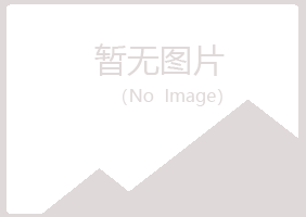 日土县盼夏能源有限公司